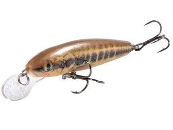 Воблер плаваючий Salmo MINNOW F 07.0/M QMW026 фото