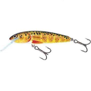 Воблер Salmo Minnow F 06/T (M6F-T) M6F-T фото