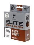 Жилка моно. Salmo Elite CARP & BIG FISH 200/030 (інд.уп/) 4120-030 фото
