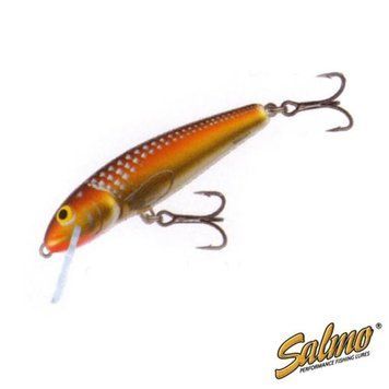 Воблер Salmo Minnow S 06/GM (M6S-GM) M6S-GM фото
