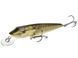 Воблер плаваючий Salmo PIKE F 11/RPE QPE010 фото 1
