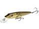 Воблер плаваючий Salmo PIKE F 11/RPE QPE010 фото 4