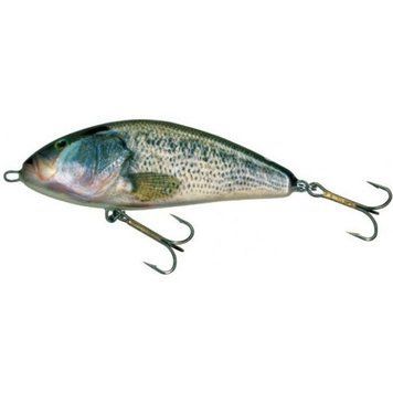 Воблер Salmo Fatso F 14/RBS (F14F-RBS) F14F-RBS фото