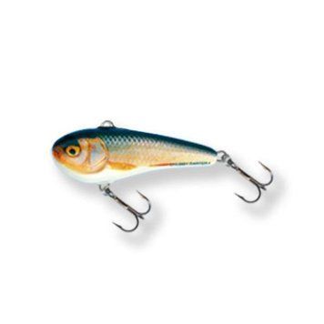 CD6 RR Воблер SALMO CHUBBY DARTER CD6-RR фото