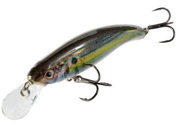 Воблер плавающий Salmo SLICK STICK F 06/RH QSU003 фото