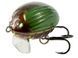 Воблер плаваючий Salmo LIL BUG F 02/GBG QBG007 фото 1