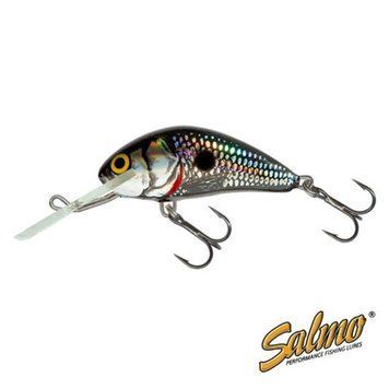 Воблер Salmo Hornet SDR 05/BSS (H5SDR-BSS) H5SDR-BSS фото