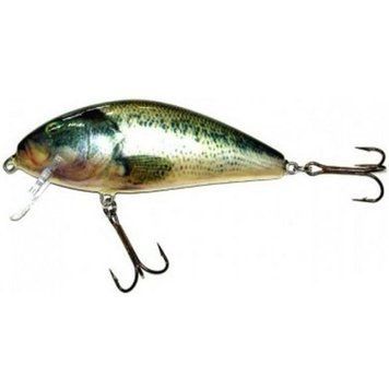 Воблер Salmo Fatso Crank C 14/RBS (F14C-RBS) F14C-RBS фото