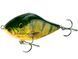 Воблер тонущий джеркбейт Salmo SLIDER S 10/RR QSD029 фото 7