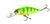 Воблер Shad-X (Original) 8 см, колір 001, 13 г, арт. LJO0308F-001 LJO0308F-009 фото