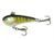 Воблер Salmo Chubby Darter 04/PH (CD4-PH) CD4-PH фото