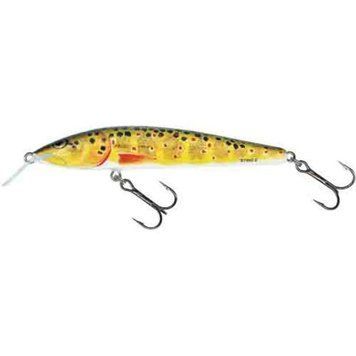 Воблер Salmo Sting F 12/T (S12F-T) S12F-T фото